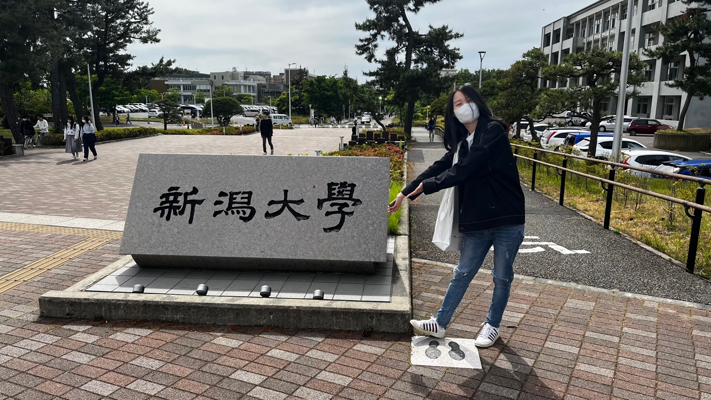니이가타대학.jpg 이미지